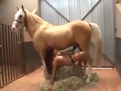 Pure breasted at no time filmed in advance of doxy engages in zoophilia sex with a pretty horse here 